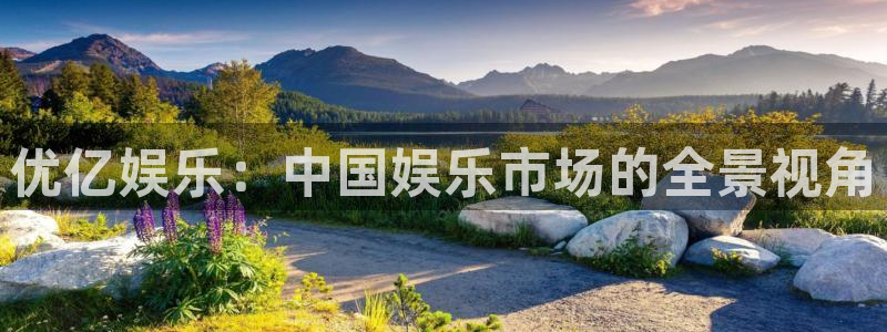 乐天堂fun5：优亿娱乐：中国娱乐市场的全景视角