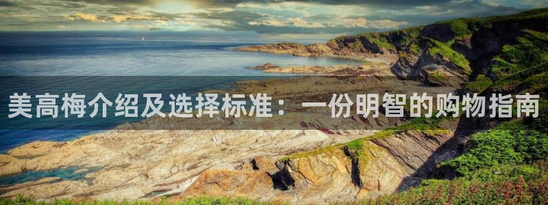 乐天堂fun体育平台总代理：美高梅介绍及选择标准：一份明智的购物指南