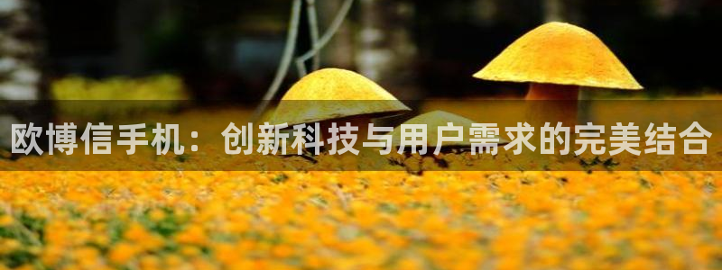 乐天堂fun集团总部：欧博信手机：创新科技与用户需求的完美结合