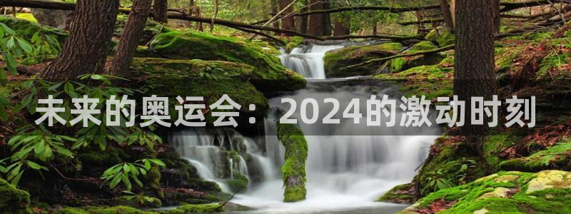 成都乐天堂fun电子有限公司：未来的奥运会：2024的激动时刻