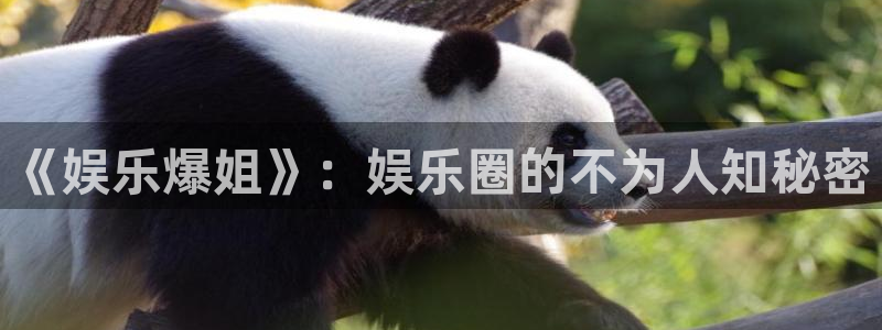乐天堂fun集团官网：《娱乐爆姐》：娱乐圈的不为人知秘密