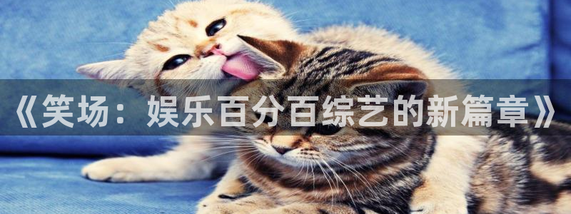 乐天堂funf凯捷注册：《笑场：娱乐百分百综艺的新篇章》