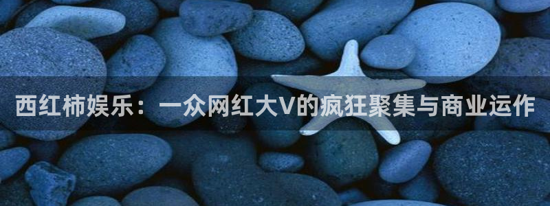 乐天堂fun3官网：西红柿娱乐：一众网红大V的疯狂聚集与商业运作