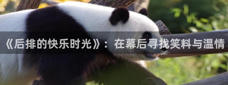 乐天堂fun4开户：《后排的快乐时光》：在幕后寻找笑料与温情