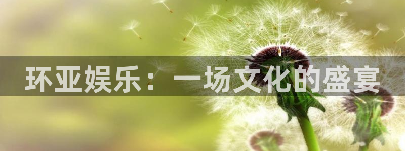 乐天堂fun体育热门赛事有哪些：环亚娱乐：一场文化的盛宴