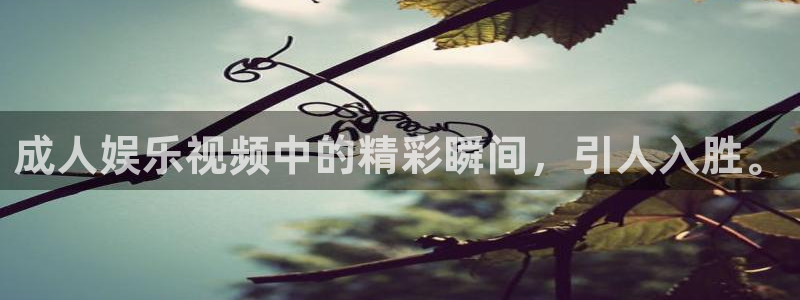 乐天堂fun2体育登录入口：成人娱乐视频中的精彩瞬间，引人入胜。