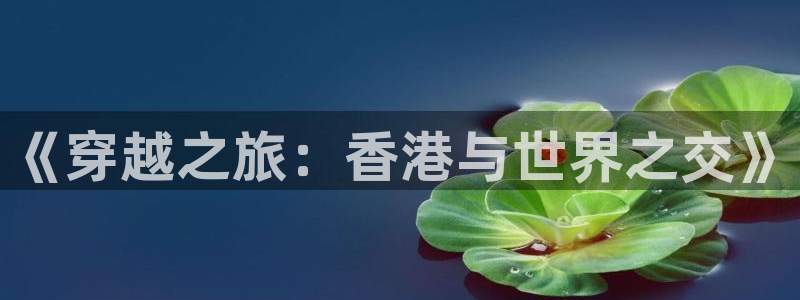 乐天堂fun2登录入口：《穿越之旅：香港与世界之交》
