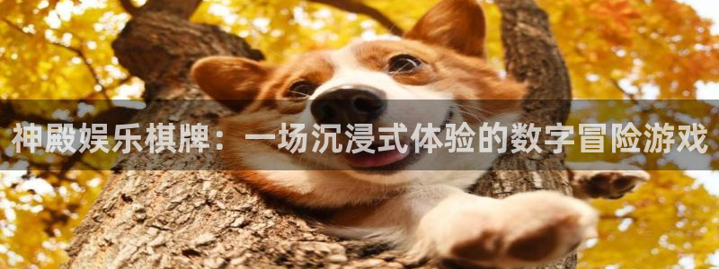 乐天堂fun体育平台总代理：神殿娱乐棋牌：一场沉浸式体验的数字冒险游戏