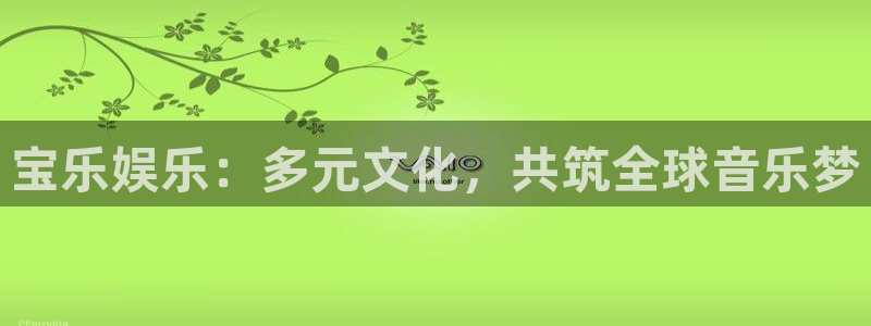 乐天堂fun体育凯捷平台招商：宝乐娱乐：多元文化，共筑全球音乐梦
