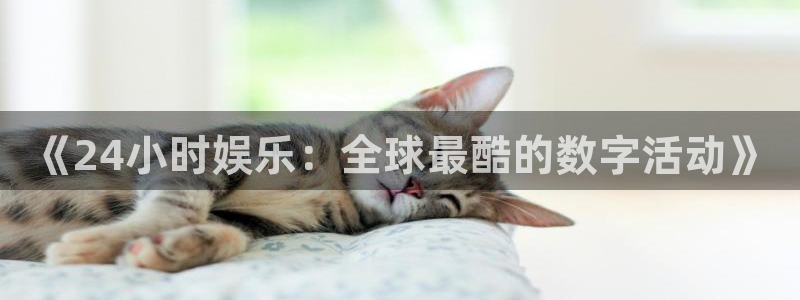 乐天堂fun体育和杏耀是哪个公司的：《24小时娱乐：全球最酷的数字活动》
