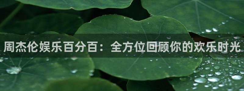 乐天堂fun体育平台总代理：周杰伦娱乐百分百：全方位回顾你的欢乐时光