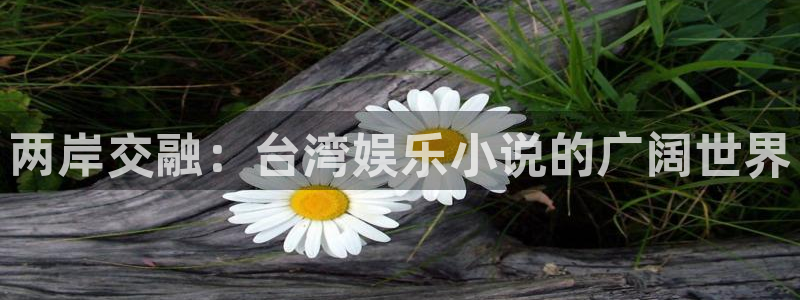乐天堂fun登录界面入口：两岸交融：台湾娱乐小说的广阔世界